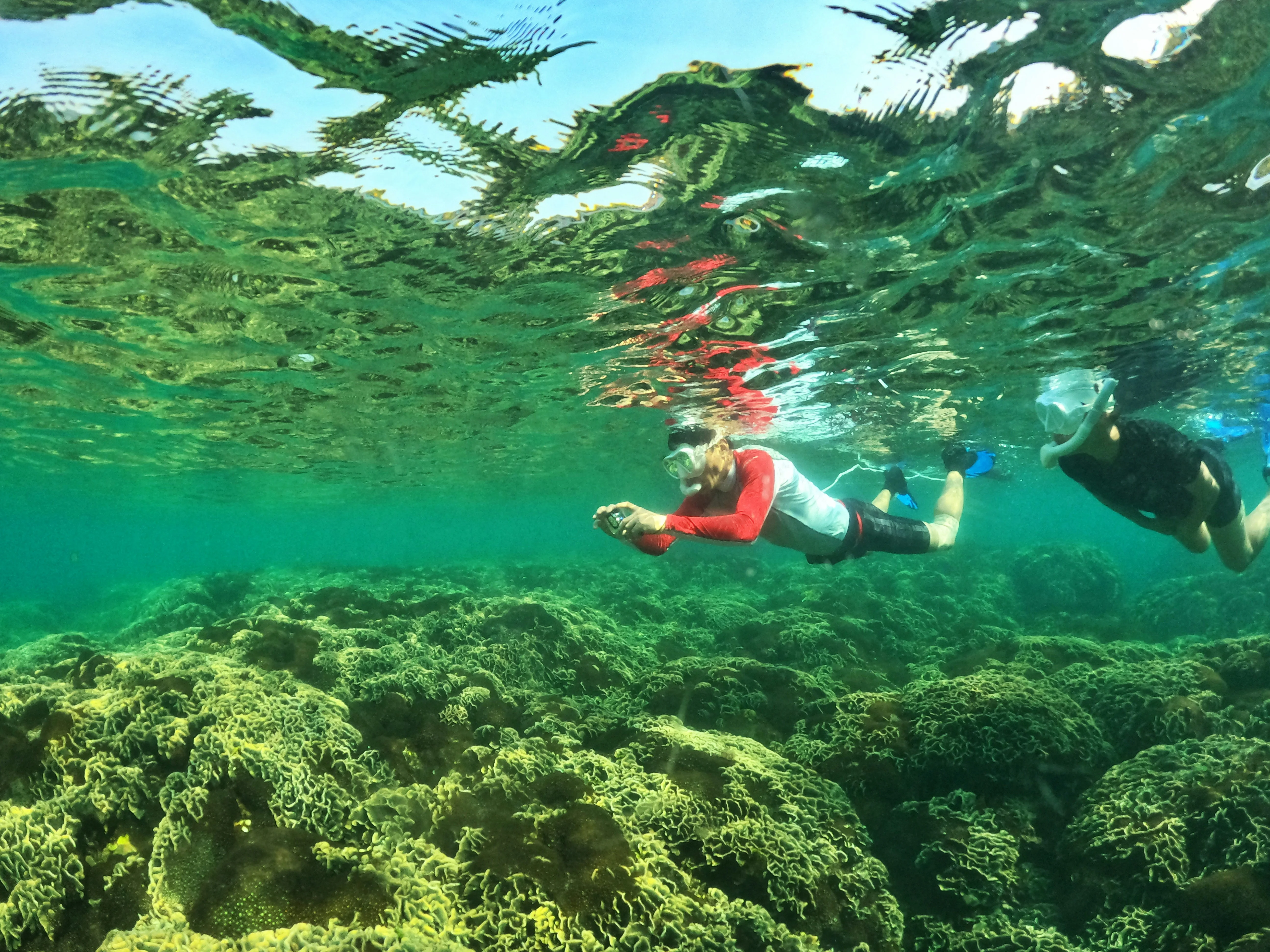 Best snorkeling spots and what you might see